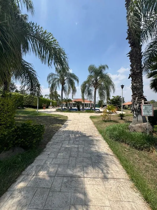 Foto 7 de TERRENO EN VENTA EN LOS NARANJOS, SANTA ANITA