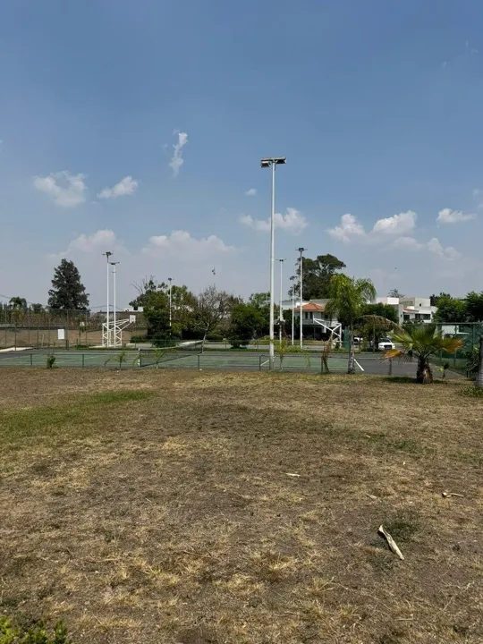Foto 9 de TERRENO EN VENTA EN LOS NARANJOS, SANTA ANITA