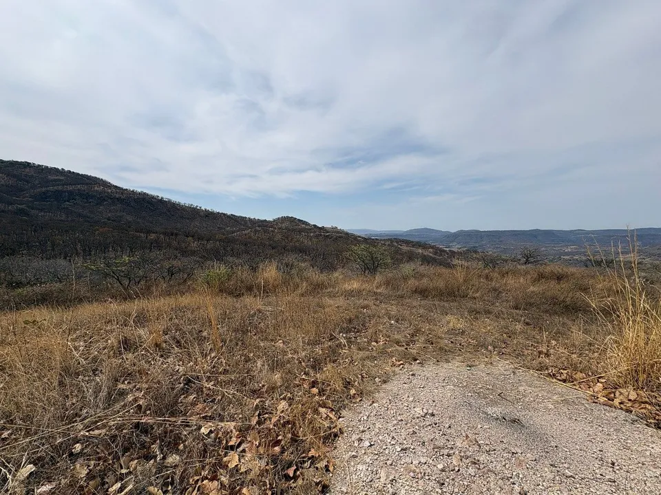 Foto 7 de TERRENO - COMERCIAL EN VENTA
