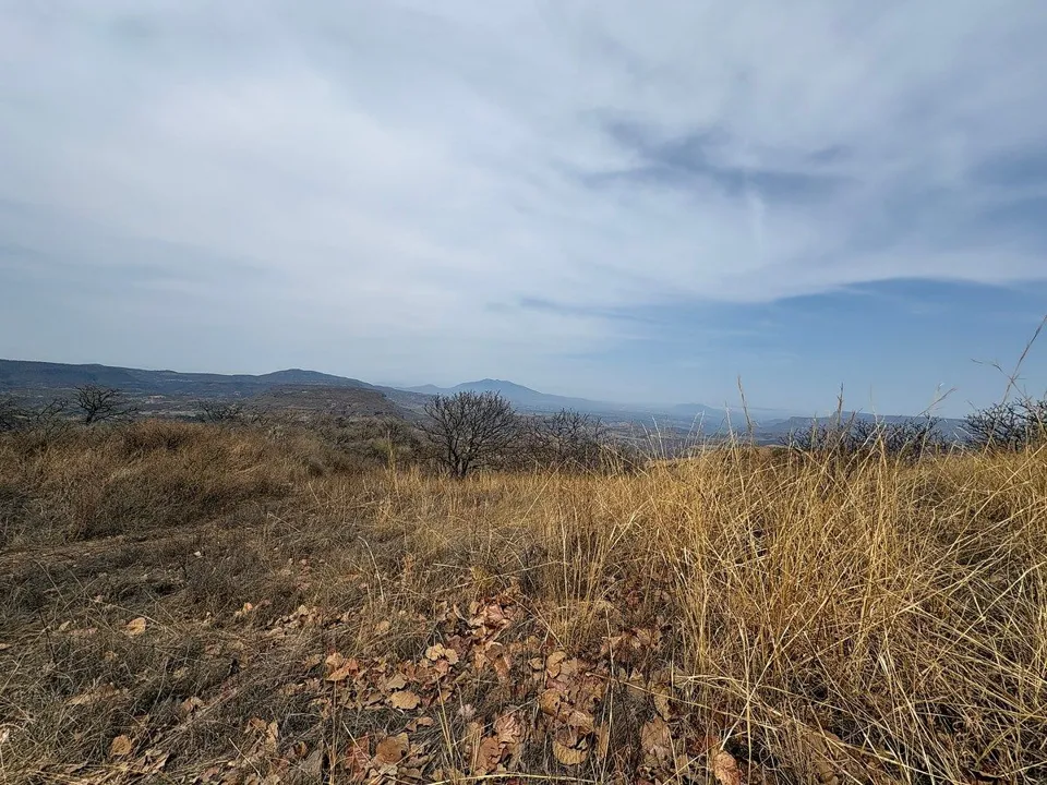 Foto 8 de TERRENO - COMERCIAL EN VENTA