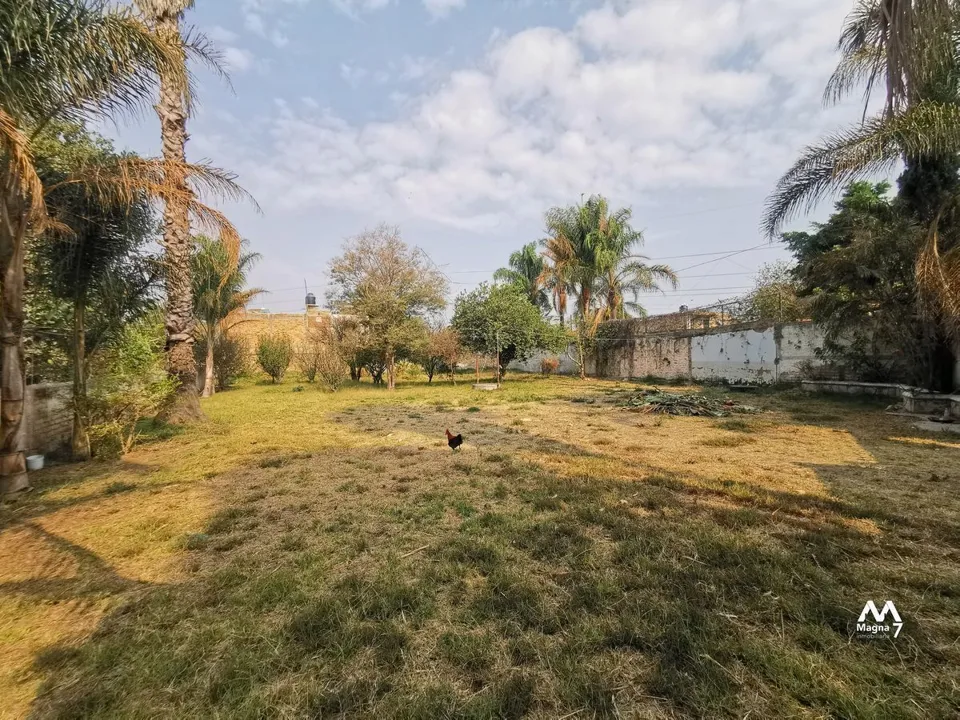 Foto 3 de Terreno en venta en Tesistan