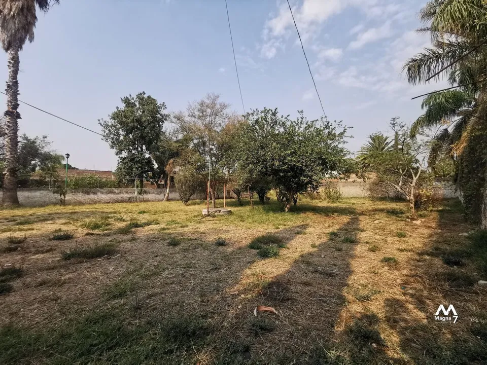 Foto 4 de Terreno en venta en Tesistan