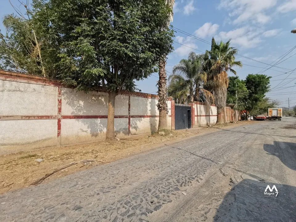 Foto 6 de Terreno en venta en Tesistan