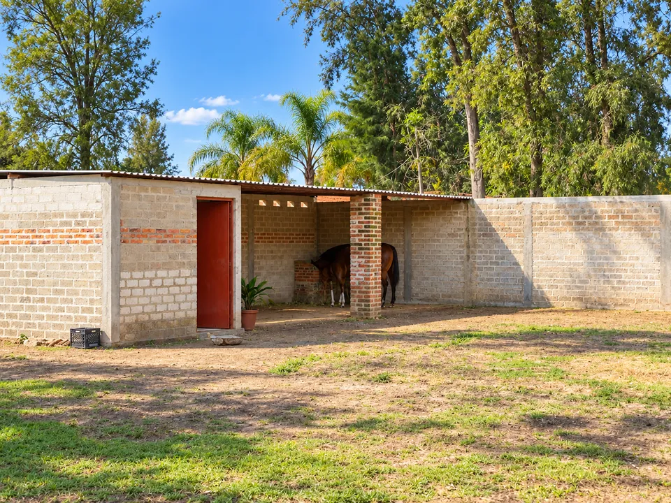 Foto 6 de Terreno en Venta en Fraccionamiento Campestre Huertas Productivas de Jalisco AC