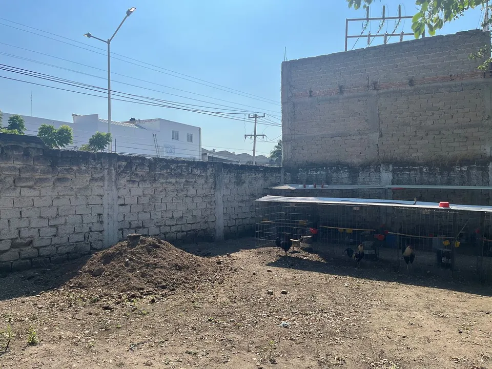 Foto 6 de Terreno en Renta en Hogares de Nuevo México, Zapopan