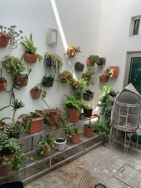 Foto 8 de Casa en venta en La Calma, Zapopan Jalisco