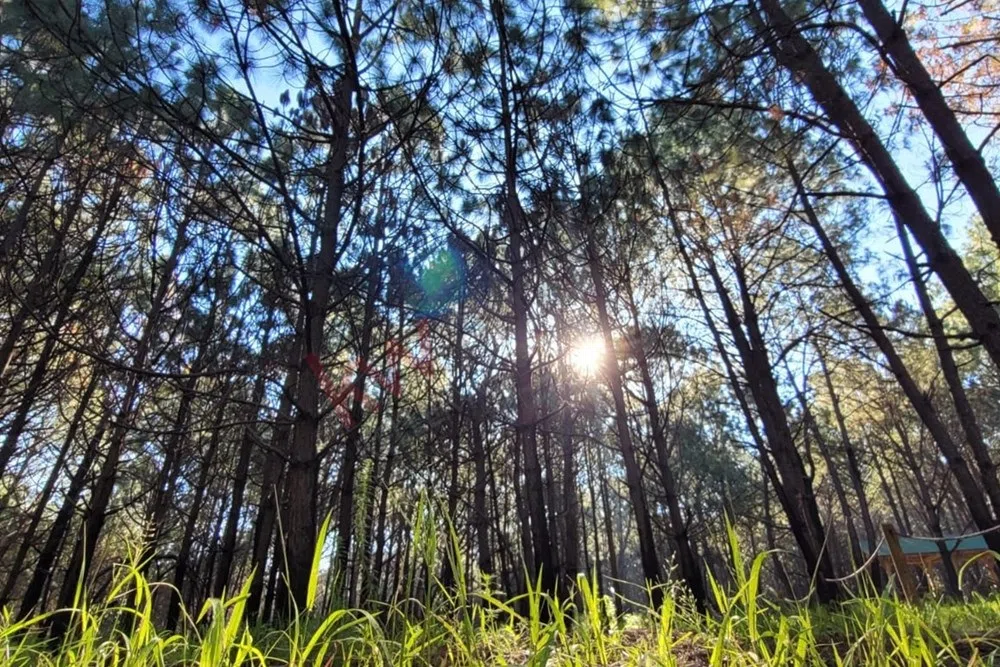Venta  de Terreno en el Bosque de la Primavera En Jalisco Lote 2