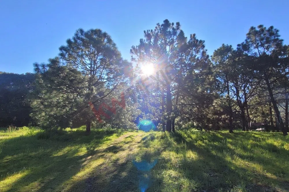 Foto 3 de Venta  de Terreno en el Bosque de la Primavera En Jalisco Lote 2