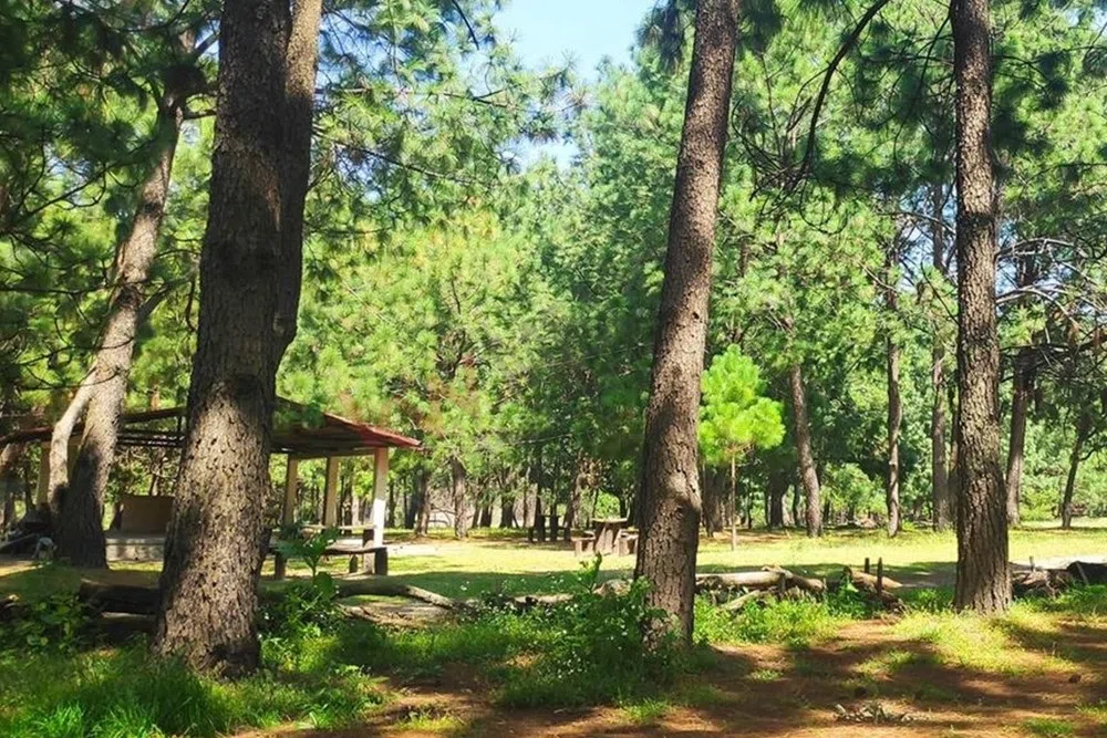 Foto 4 de Venta  de Terreno en el Bosque de la Primavera En Jalisco Lote 2