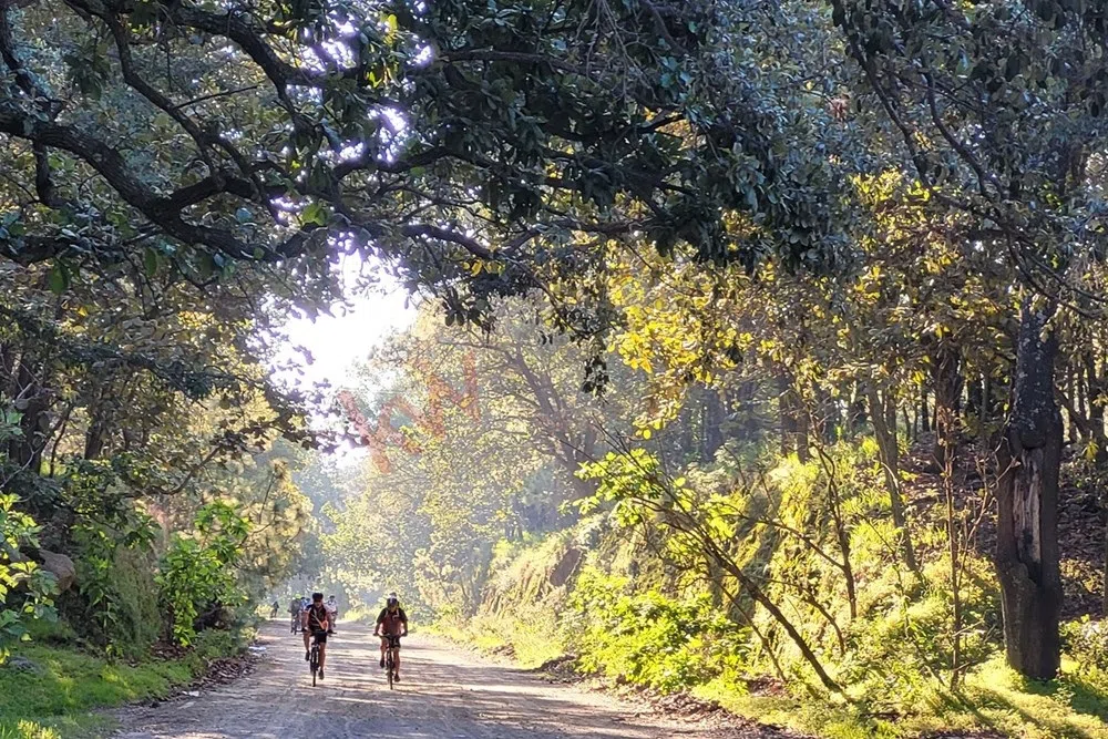 Foto 5 de Venta  de Terreno en el Bosque de la Primavera En Jalisco Lote 2