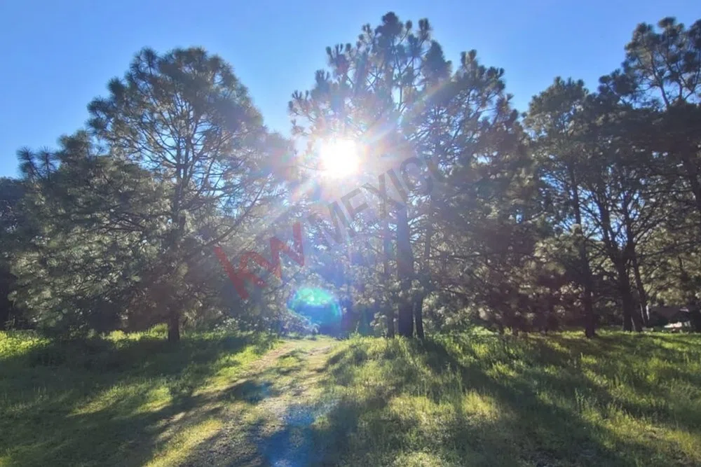 Foto 6 de Venta  de Terreno en el Bosque de la Primavera En Jalisco Lote 2