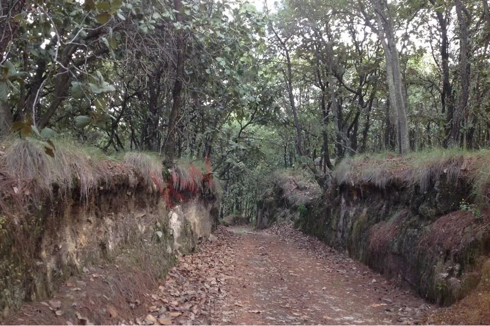 Foto 8 de Venta  de Terreno en el Bosque de la Primavera En Jalisco Lote 2