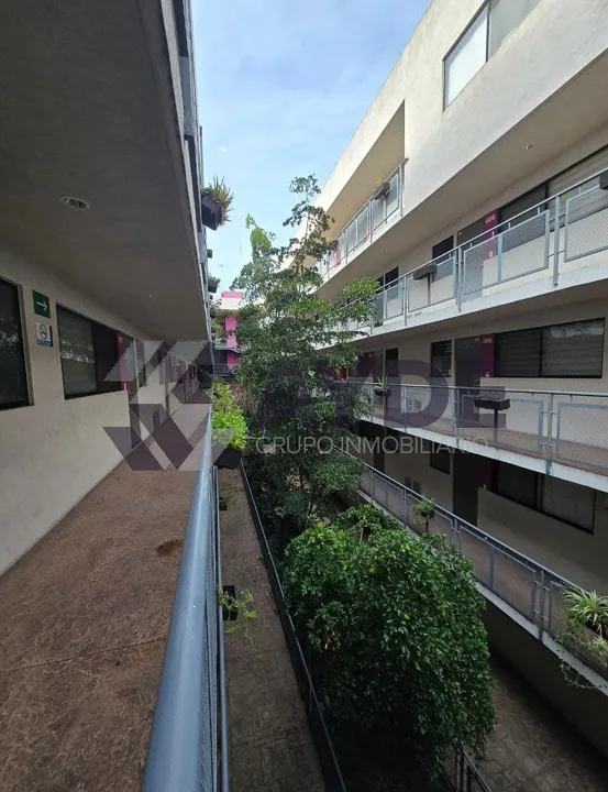 Foto 3 de DEPARTAMENTO AMUEBLADO EN RENTA EN OBREGÓN INT. 424