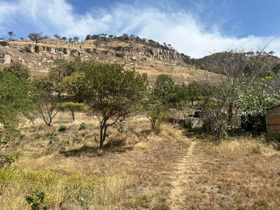 Foto 2 de Terreno en venta en CARRETERA GUADALAJARA-TEPIC, LA PRIMAVERA, ZAPOPAN
