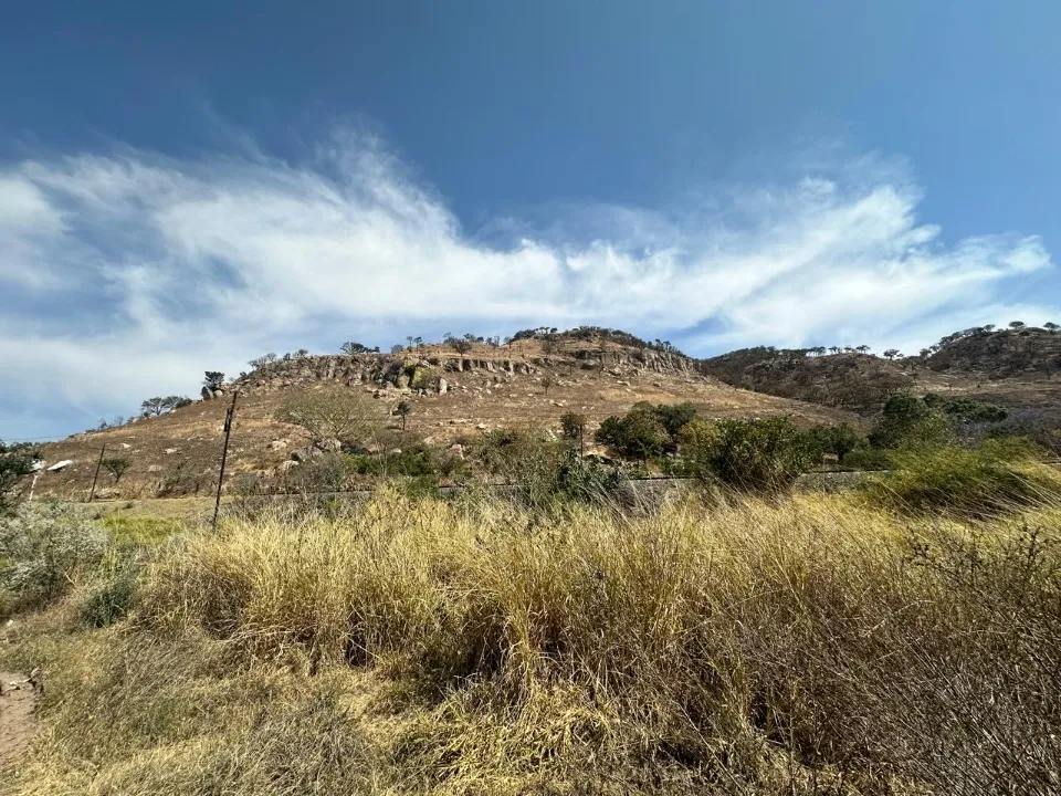 Foto 3 de Terreno en venta en CARRETERA GUADALAJARA-TEPIC, LA PRIMAVERA, ZAPOPAN