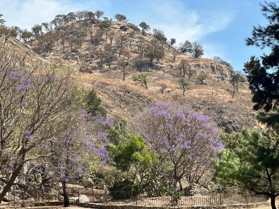 Foto 4 de Terreno en venta en CARRETERA GUADALAJARA-TEPIC, LA PRIMAVERA, ZAPOPAN