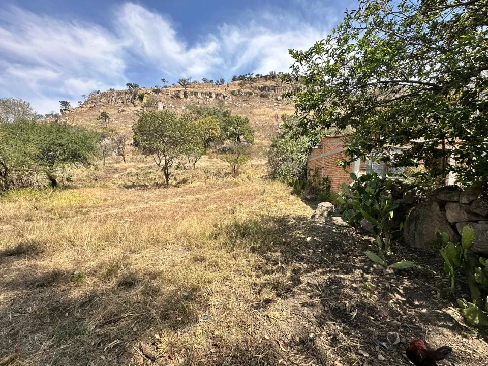 Foto 6 de Terreno en venta en CARRETERA GUADALAJARA-TEPIC, LA PRIMAVERA, ZAPOPAN