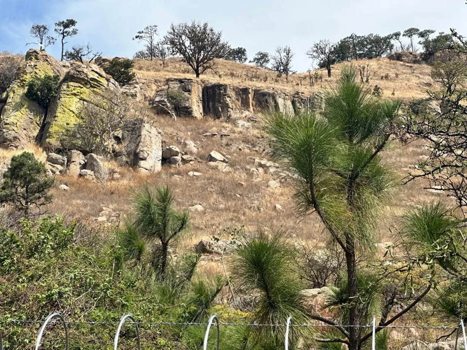 Foto 7 de Terreno en venta en CARRETERA GUADALAJARA-TEPIC, LA PRIMAVERA, ZAPOPAN