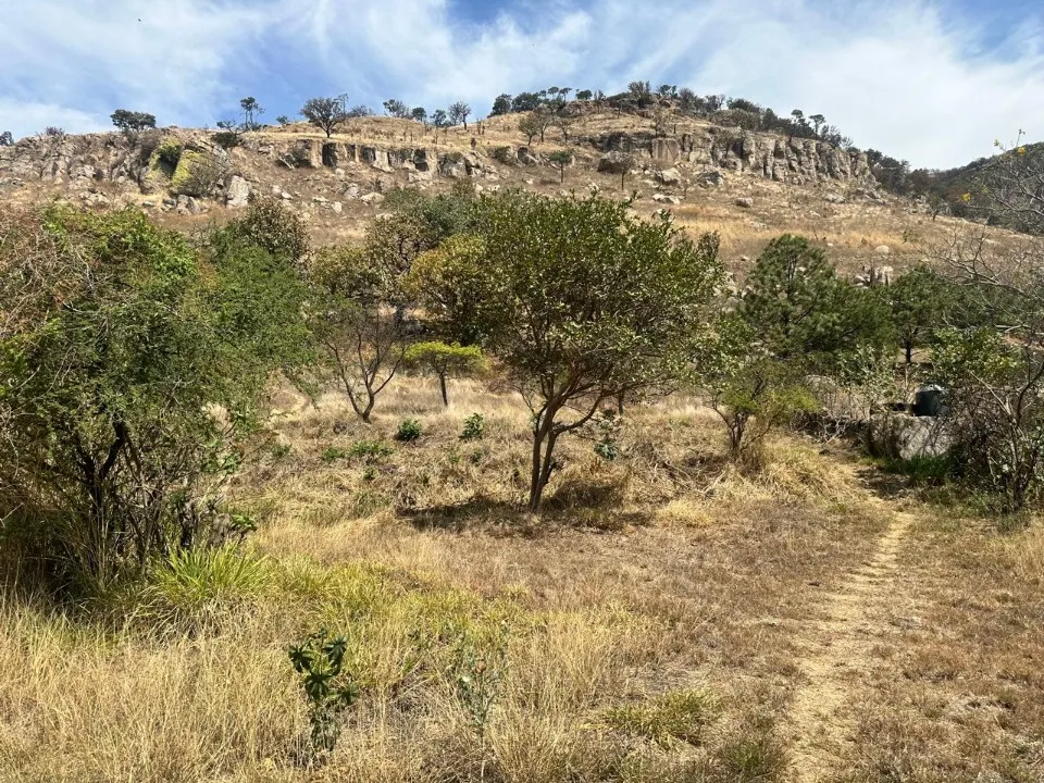 Foto 8 de Terreno en venta en CARRETERA GUADALAJARA-TEPIC, LA PRIMAVERA, ZAPOPAN