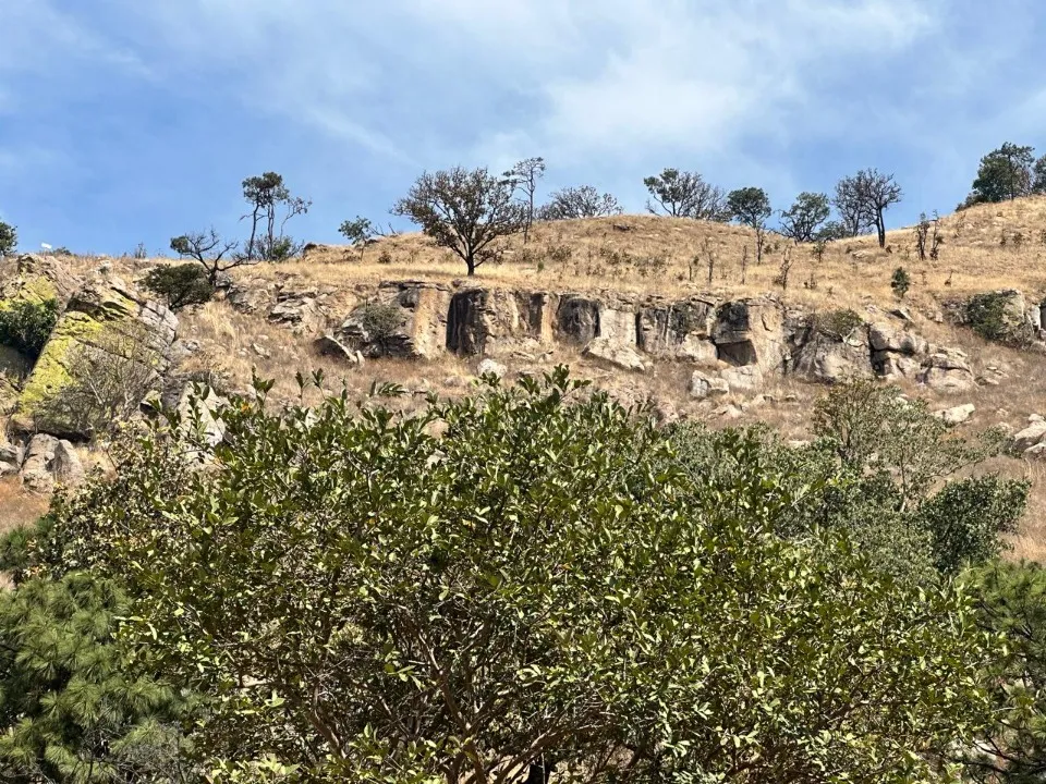 Foto 9 de Terreno en venta en CARRETERA GUADALAJARA-TEPIC, LA PRIMAVERA, ZAPOPAN