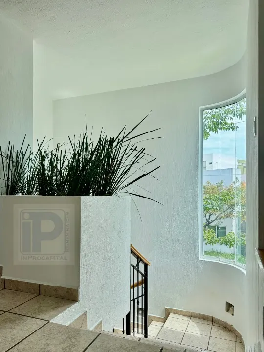 Foto 4 de Casa en Renta en Jardín Real En Esquina con amplio Terreno