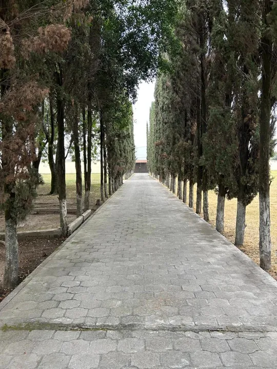 Foto 3 de TERRENO EN VENTA IDEAL PARA PARQUE INDUSTRIAL EN  LA PALMIRA