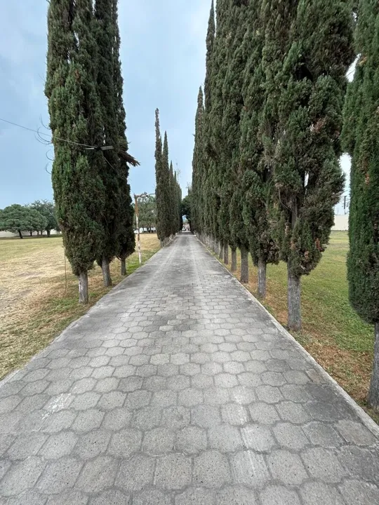 Foto 4 de TERRENO EN VENTA IDEAL PARA PARQUE INDUSTRIAL EN  LA PALMIRA