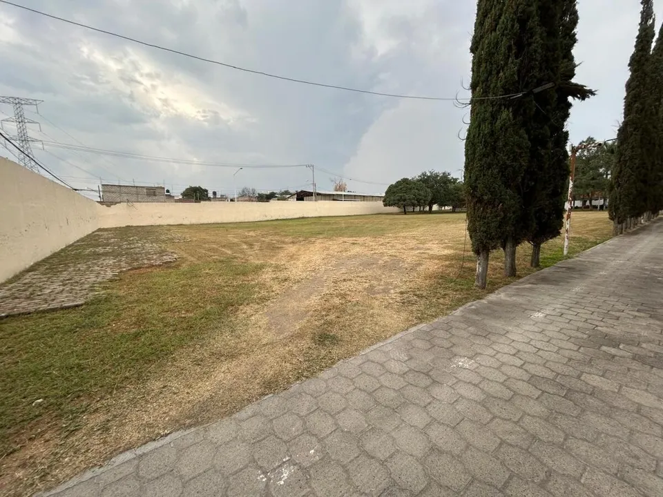 Foto 5 de TERRENO EN VENTA IDEAL PARA PARQUE INDUSTRIAL EN  LA PALMIRA