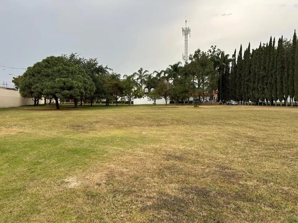Foto 7 de TERRENO EN VENTA IDEAL PARA PARQUE INDUSTRIAL EN  LA PALMIRA