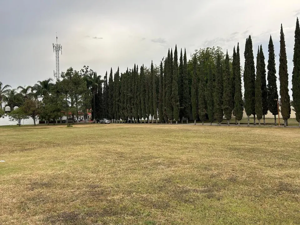 Foto 8 de TERRENO EN VENTA IDEAL PARA PARQUE INDUSTRIAL EN  LA PALMIRA