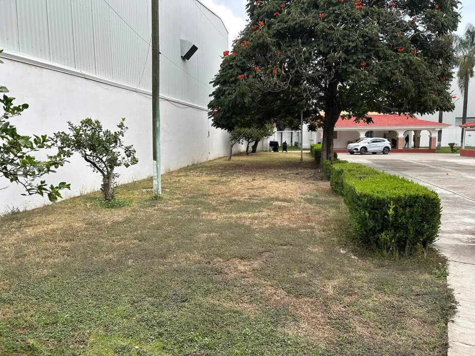 Foto 9 de TERRENO EN VENTA IDEAL PARA PARQUE INDUSTRIAL EN  LA PALMIRA