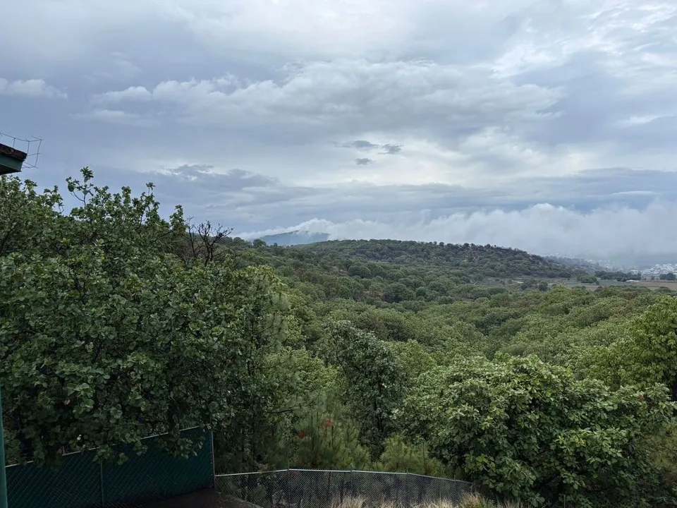 Foto 3 de QUINTA EN VENTA EN FRACC. RANCHO LA CEBADA, LA PRIMAVERA M.O., ZAPOPAN, JAL.