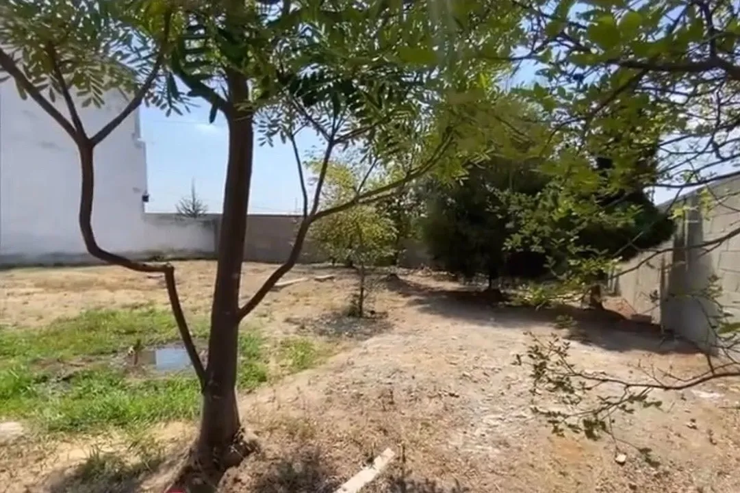 Foto 5 de Terreno en venta en El Campestre