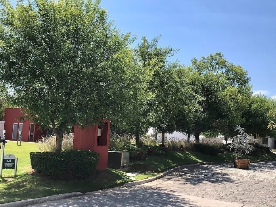 Foto 7 de Terreno en venta en El Campestre