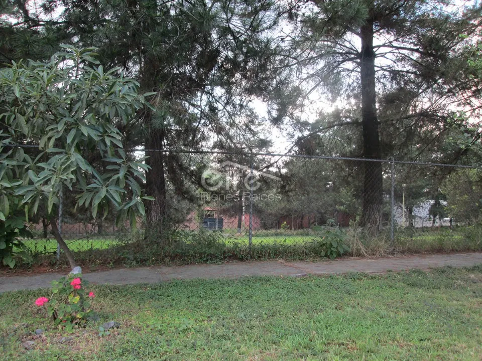 Foto 6 de Terreno en venta en Quetzál, Campestre las Palomas, Zapopan