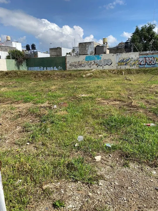 Foto 3 de Terreno en Renta en Jardines del Country - Ávila Camacho 2170