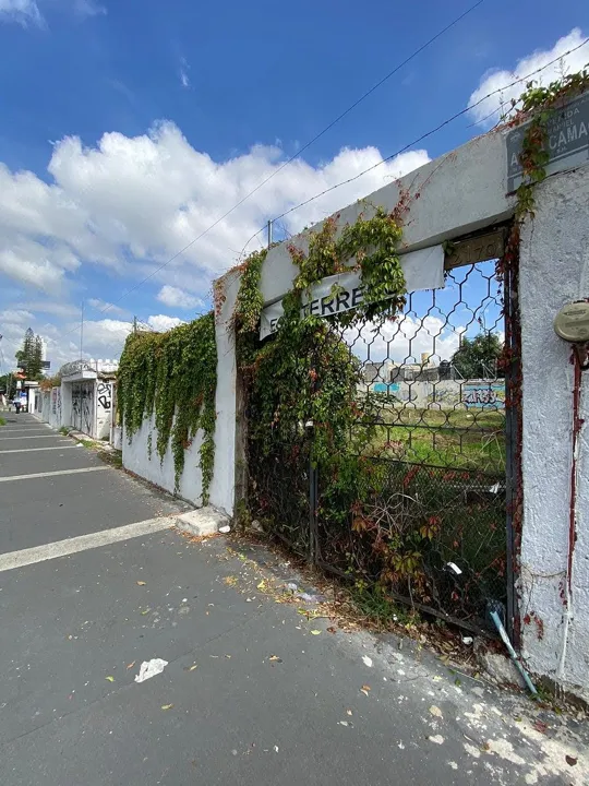 Foto 4 de Terreno en Renta en Jardines del Country - Ávila Camacho 2170