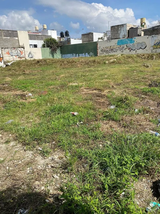 Foto 6 de Terreno en Renta en Jardines del Country - Ávila Camacho 2170