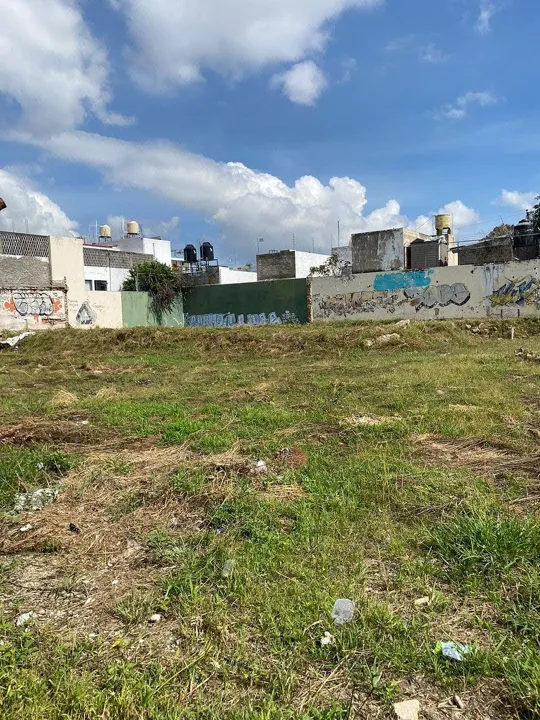 Foto 7 de Terreno en Renta en Jardines del Country - Ávila Camacho 2170