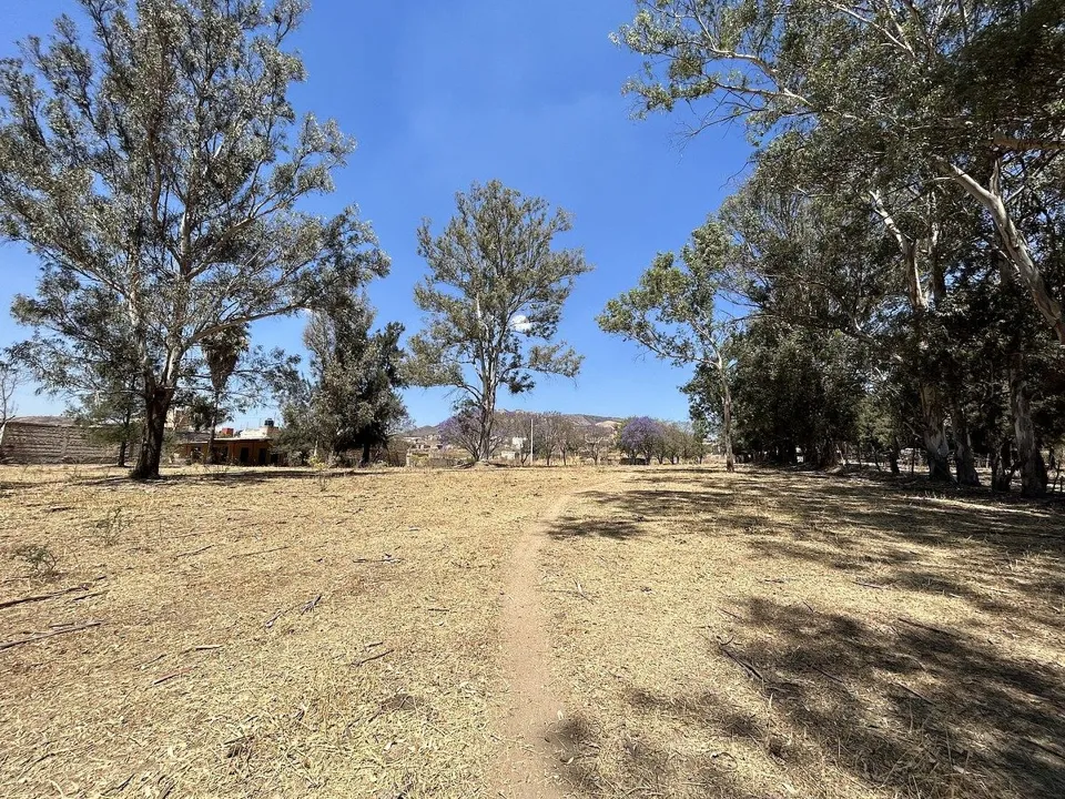 Foto 2 de Terreno en Venta en Tesistán, Zapopan