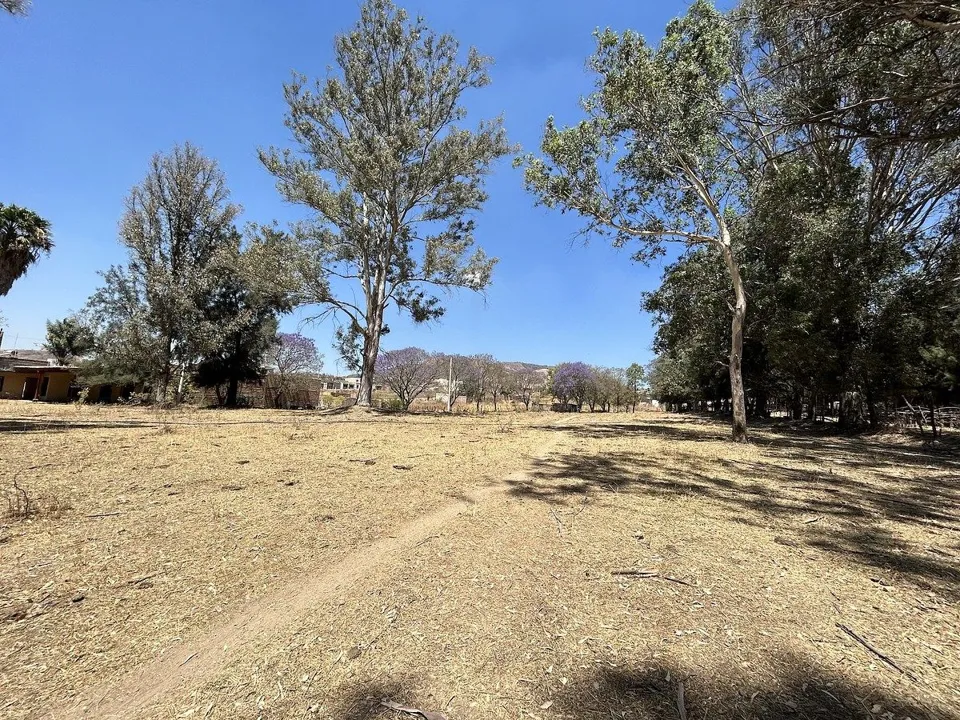 Foto 3 de Terreno en Venta en Tesistán, Zapopan