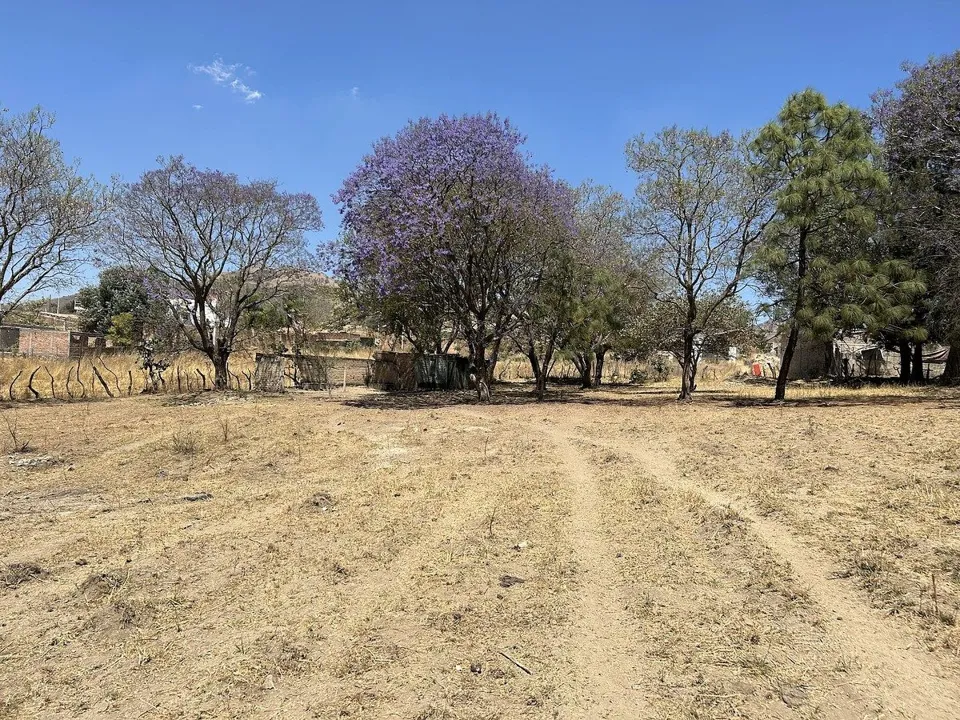 Foto 4 de Terreno en Venta en Tesistán, Zapopan