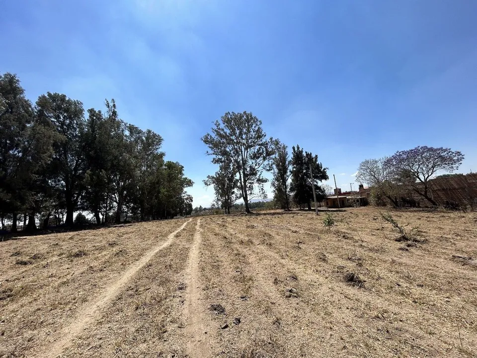 Foto 6 de Terreno en Venta en Tesistán, Zapopan
