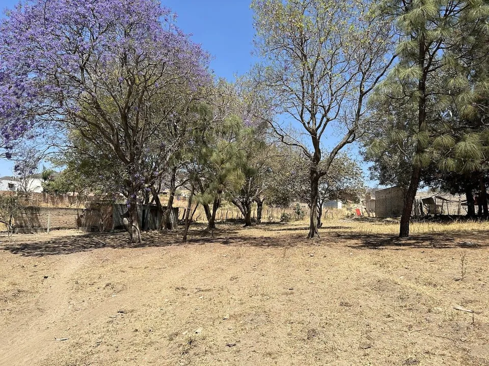 Foto 7 de Terreno en Venta en Tesistán, Zapopan