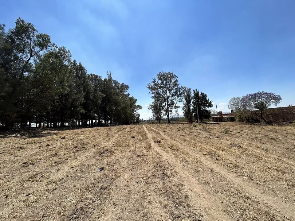 Foto 9 de Terreno en Venta en Tesistán, Zapopan