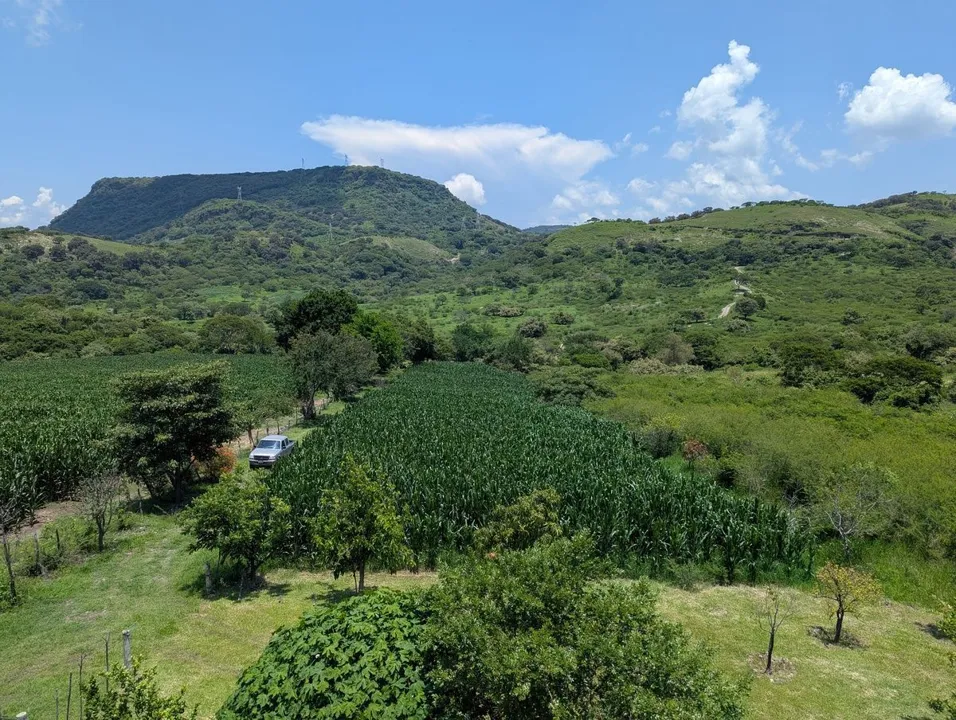 Foto 2 de CASA DE CAMPO EN VENTA EN HACIENDA SANTA LUCIA