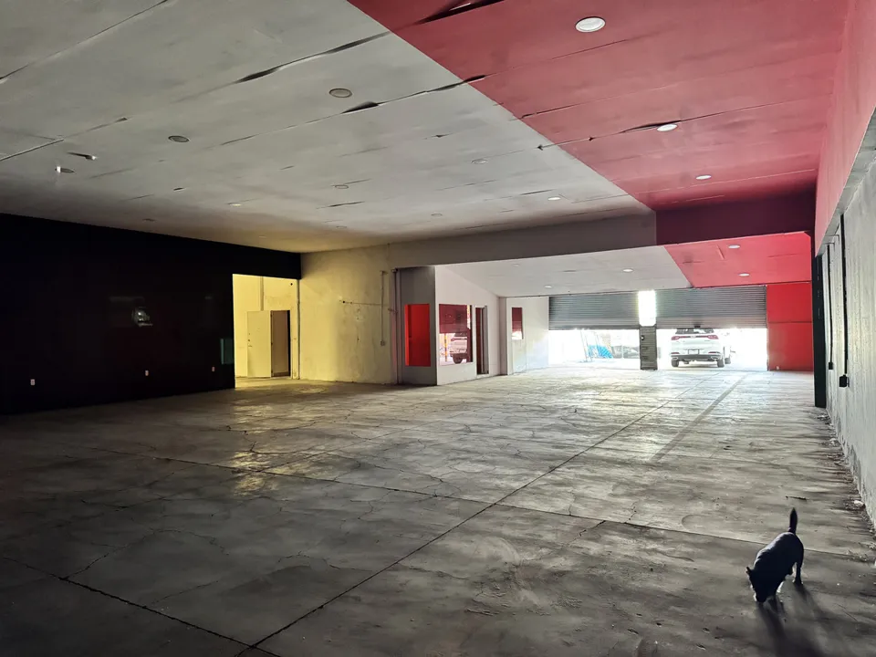 Foto 7 de BODEGA EN RENTA MODERNA GUADALAJARA JALISCO