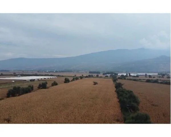 Foto 5 de Terreno en Venta en TLAJOMULCO EN COLONIA LOMAS DE TEJEDA