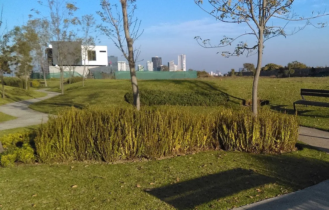 Foto 2 de TERRENO RESIDENCIAL 260 MTS2 ZONA VIRREYES