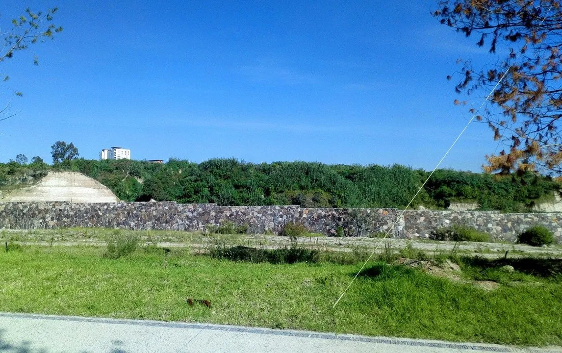 Foto 6 de TERRENO RESIDENCIAL 260 MTS2 ZONA VIRREYES